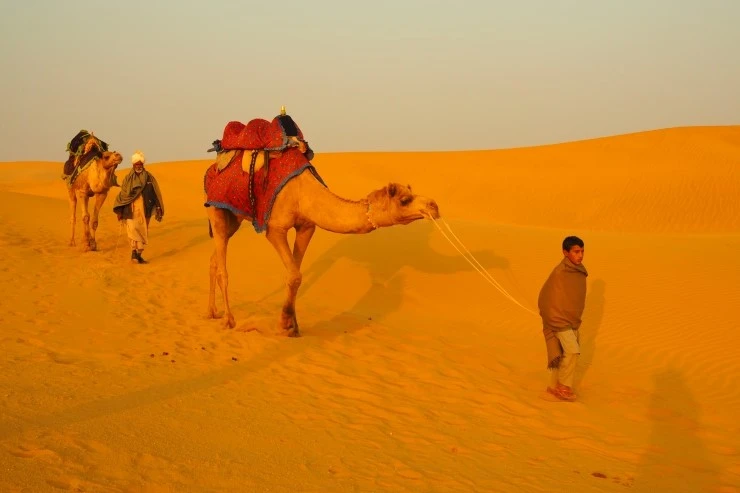 P1010575.JPG?type=w1