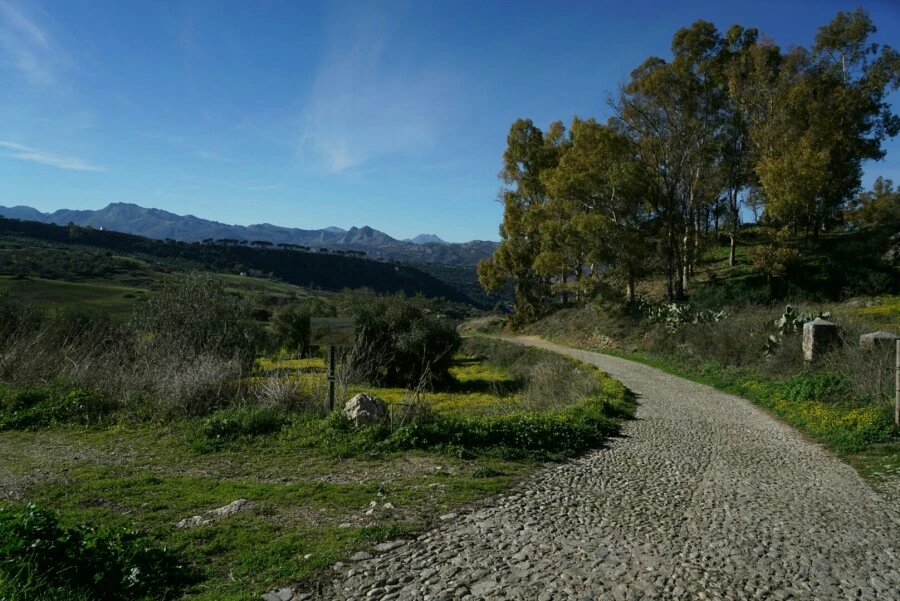 1488456753819.jpg?type=w966