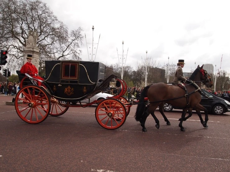 P1016126.JPG?type=w1