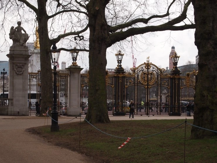 P1016085.JPG?type=w1