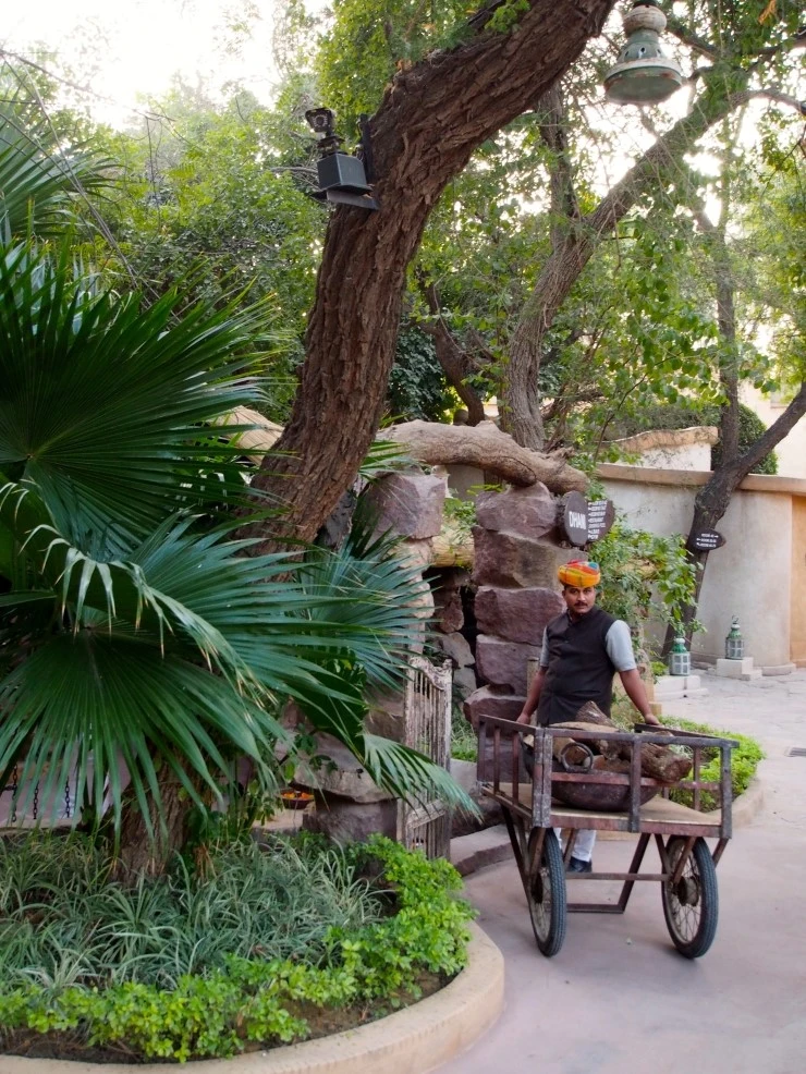 P1150126.jpg?type=w1