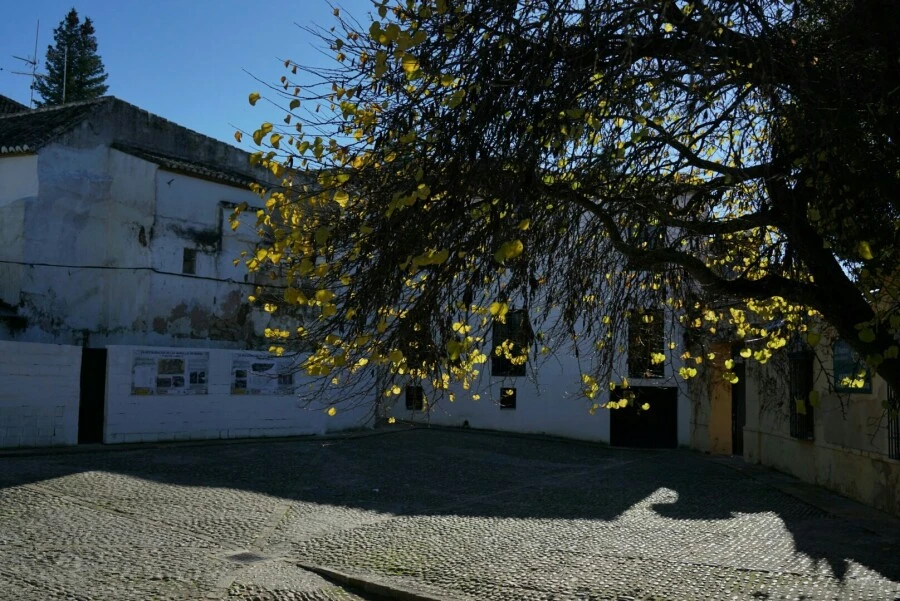 1488456772884.jpg?type=w966