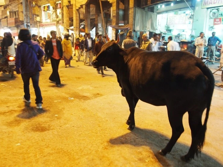 PC305581.JPG?type=w1