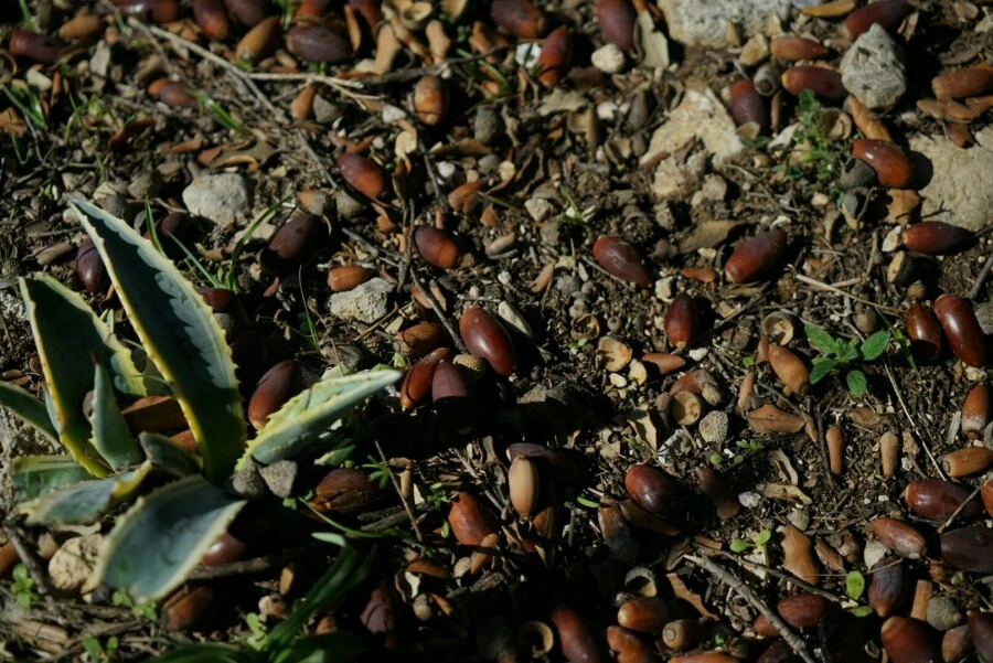 1488456765894.jpg?type=w966