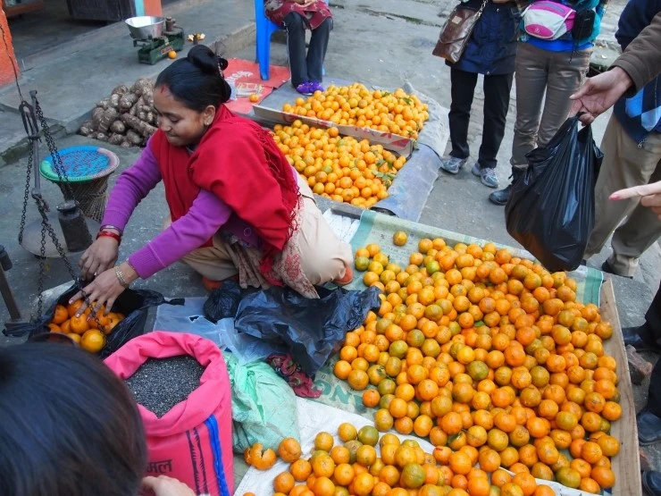 PC275191.JPG?type=w1