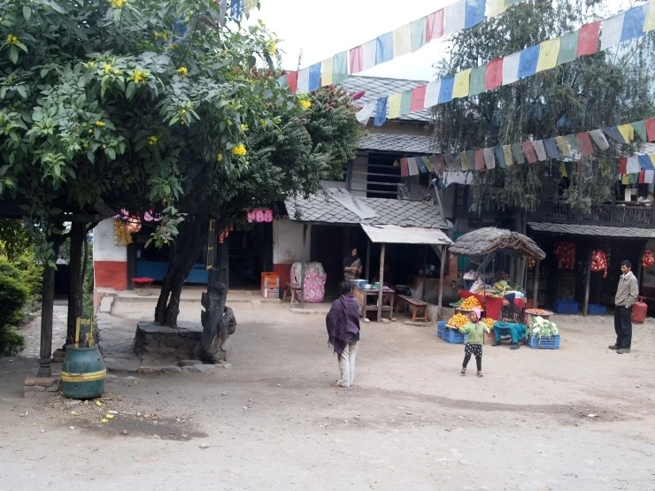 PC275171.JPG?type=w1