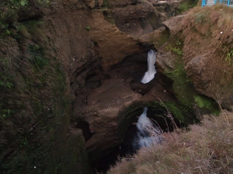 PC275265.JPG?type=w1