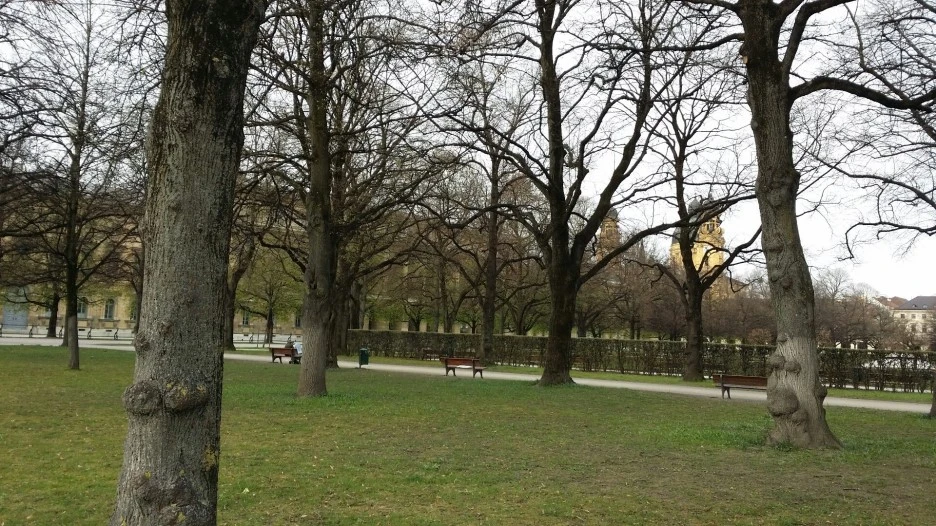 1449898377882.jpeg?type=w1