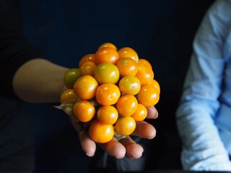 20120104%BF%A1%BC%AD_0107%B1%EE%C1%F6_112.JPG?type=w1