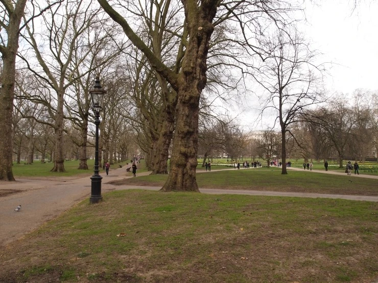 P1016084.JPG?type=w1