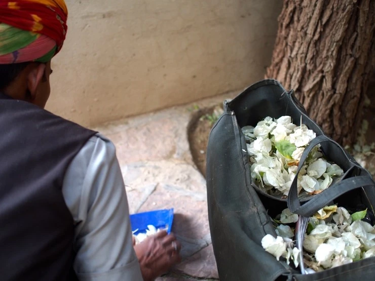 P1150098.JPG?type=w1