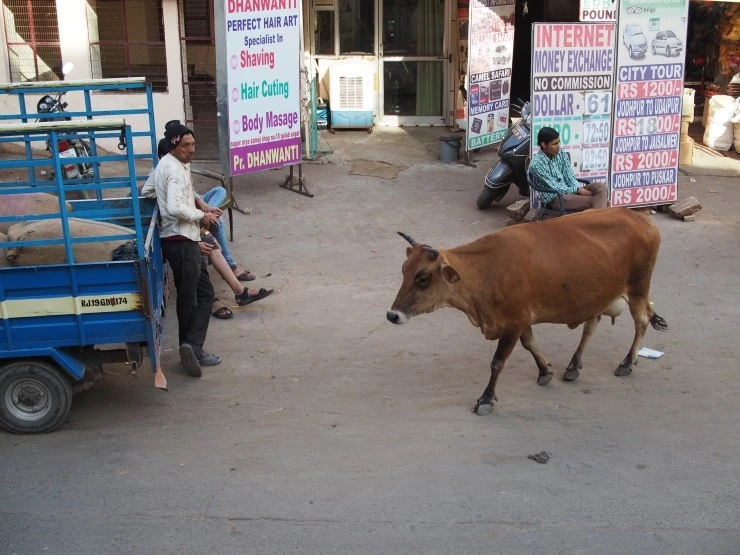 P1120121.JPG?type=w1