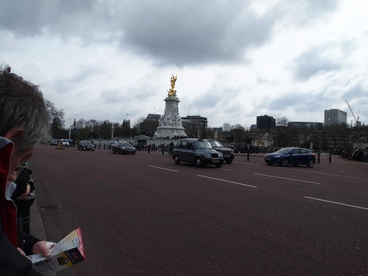 P1016087.JPG?type=w1