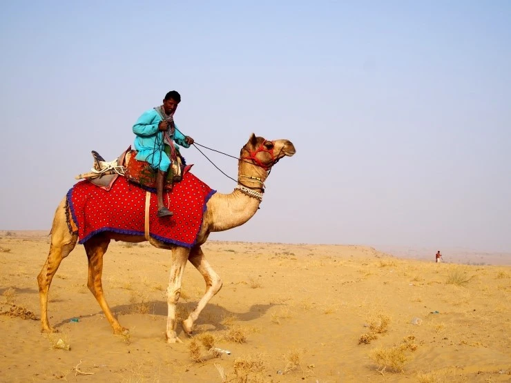 P1140433.JPG?type=w1