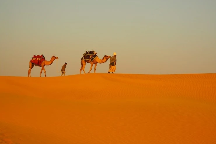 P1010540.JPG?type=w1