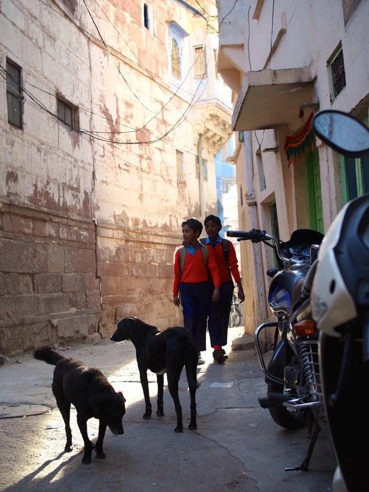 P1130847.jpg?type=w1