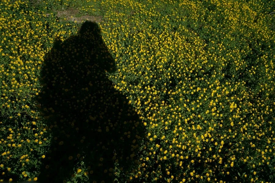 1488456762190.jpg?type=w966