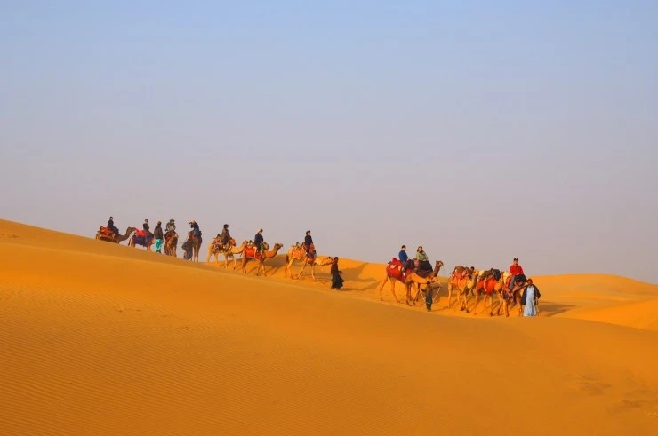 P1011006.jpg?type=w1