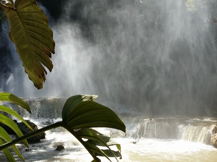 CYMERA_20141001_133708.jpg?type=w1