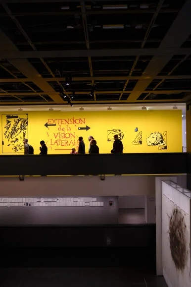 _DSF6583.JPG?type=w386