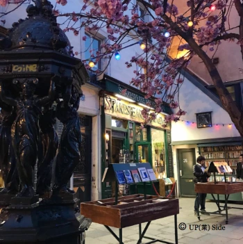 D4H32sj4ITHWdqC6xbbb50-6AoI