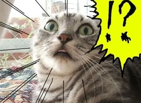 IEwFu6j6yiqtrf1EnU7JICAjt-Xgq3E-PzgJg2XmHMZc8M9Qy233nRjarIQ2jvgRUvqIbrexbyYXmFl9oYxIeUI2VIDlSuYRCN90H-VQgNy_DfjQ_TUZ0IX_wM2DecGeUkj3JRYOmI5tXoHkgQ