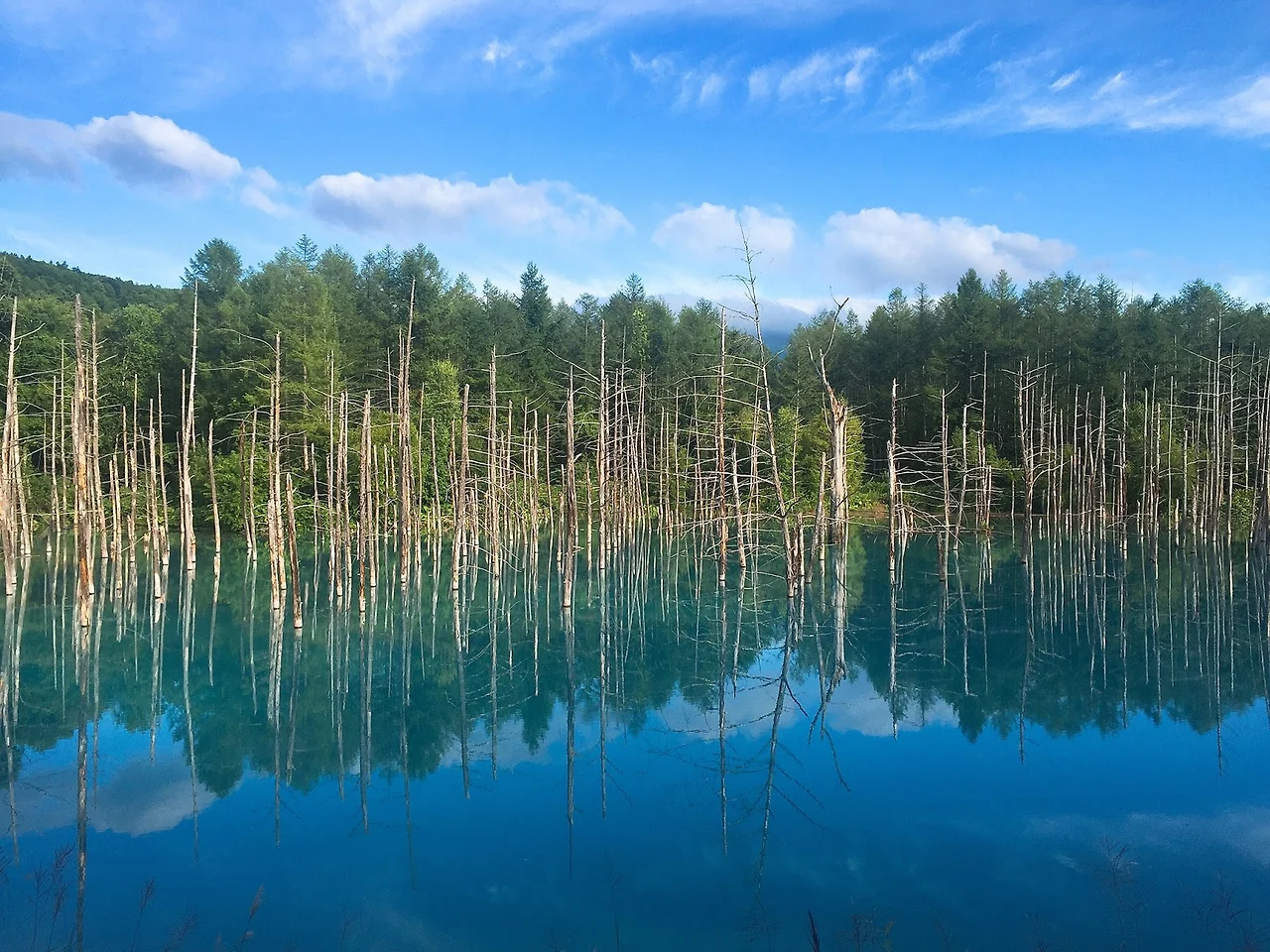 0cE_xib1iI-ZkhzIQOtfOkIMjBTcH_s4QUK_y7_fg5INzaz1RGlxqIUGGLN3WsiLnHQkfVyvXvSdBAG0eMvhFz6fZ5uWknq1sJPBvSWjKPD5ZjI_TS7pWoxxFYLu-yQFiJq7VUlM