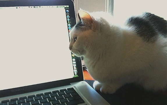 hmunCC-nksIiZrNbFPQnWAajI7g