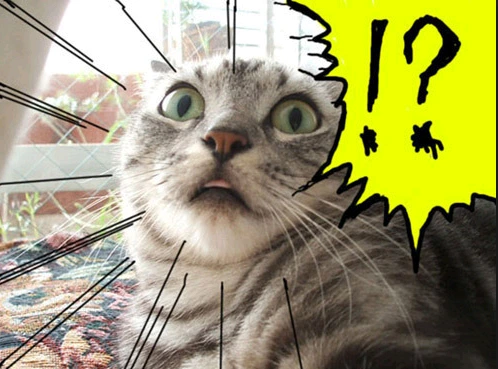 %ED%99%A9%EB%8B%B9.PNG?type=w966