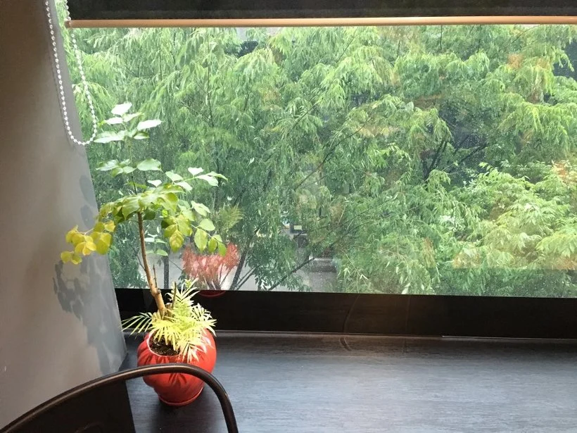 262C9A455785F0741B6C92