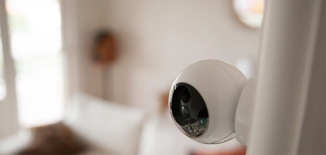 216B623B5532A53E1D379C