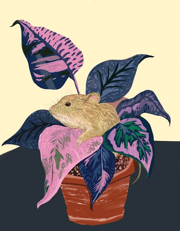 nPdg_tDxfAM3dobXFtVzoh0FwppCZqK1ldC6KGl68YO0JOsmBYoEquaVh9Encv29g_ZaYkrs_YBFCxkwxihZhTbGjM0FojSoT61TURs=w600