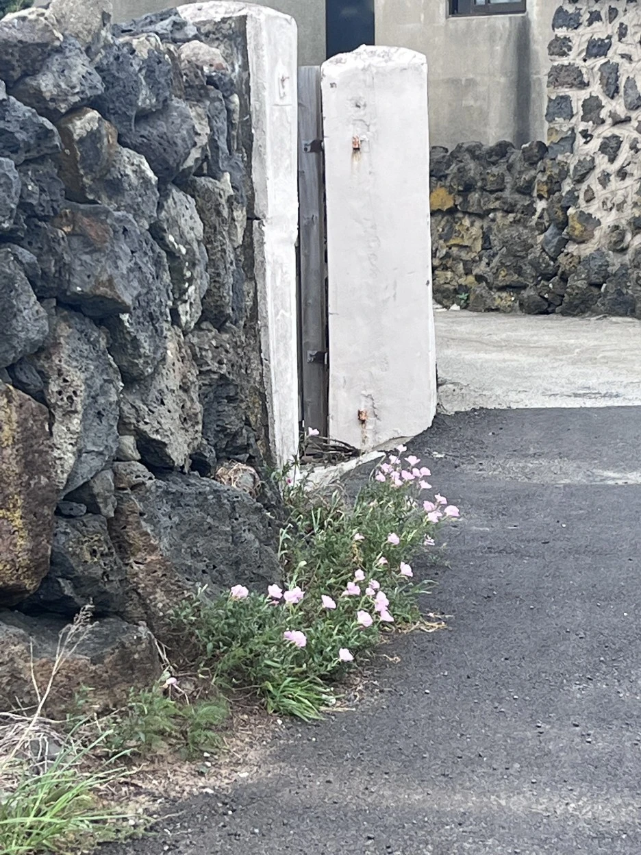 IMG_3965.jpg?type=w1