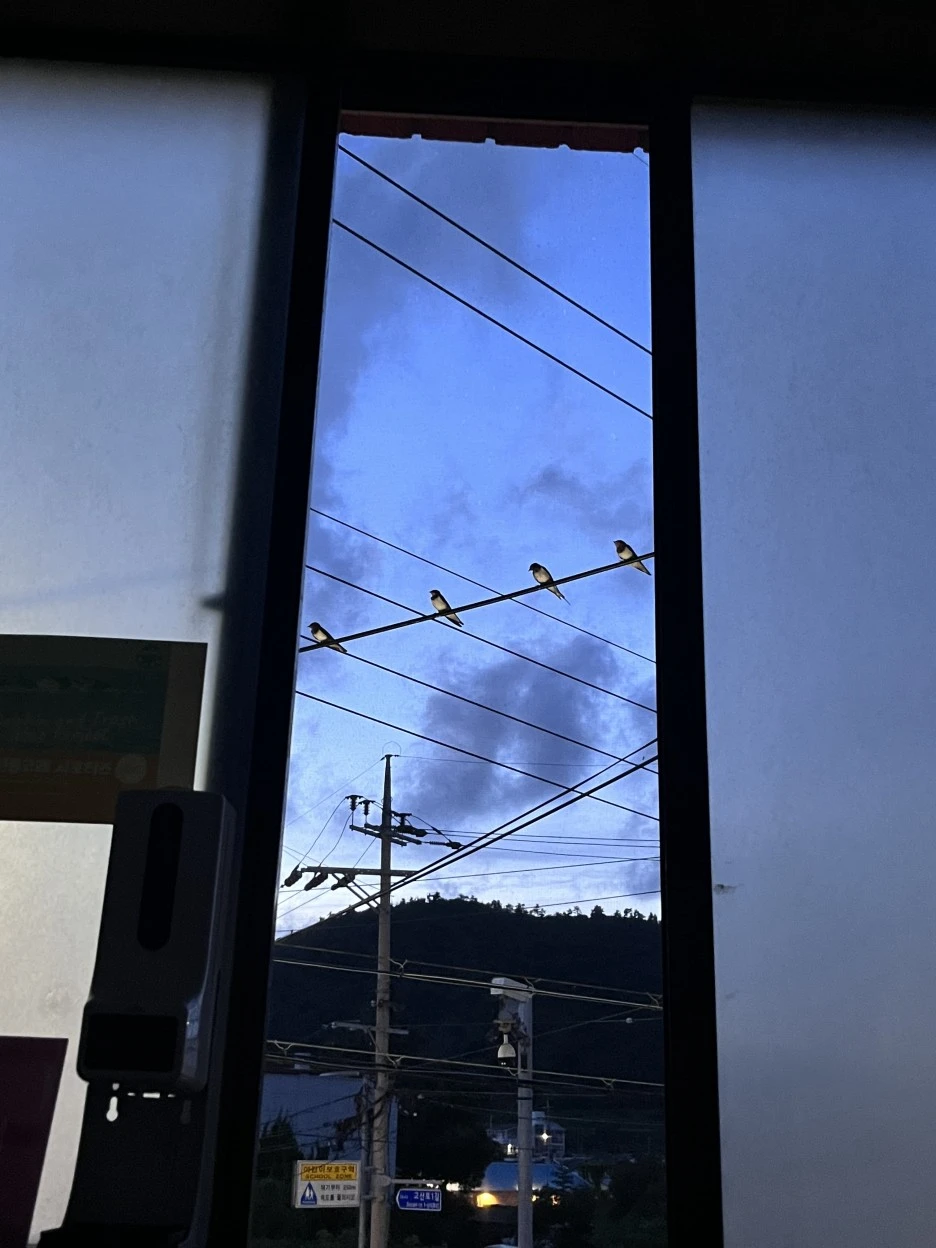 IMG_3802.jpg?type=w1