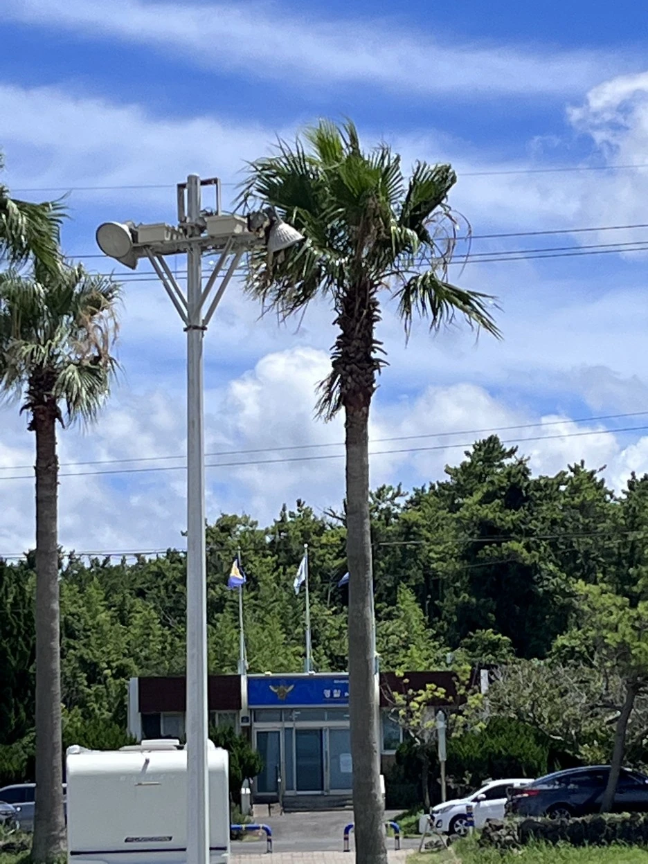 IMG_3779.jpg?type=w1