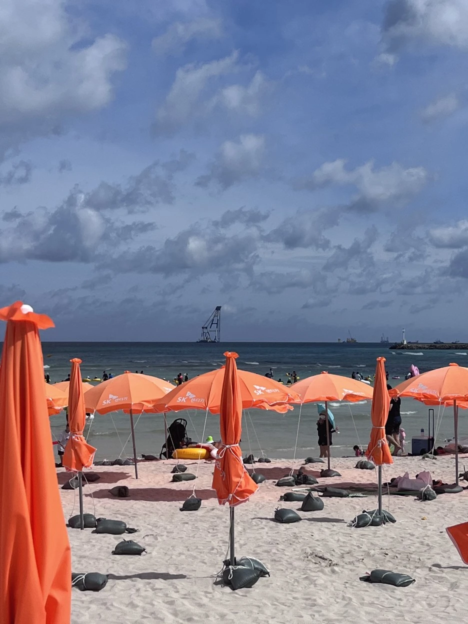 IMG_3732.jpg?type=w1