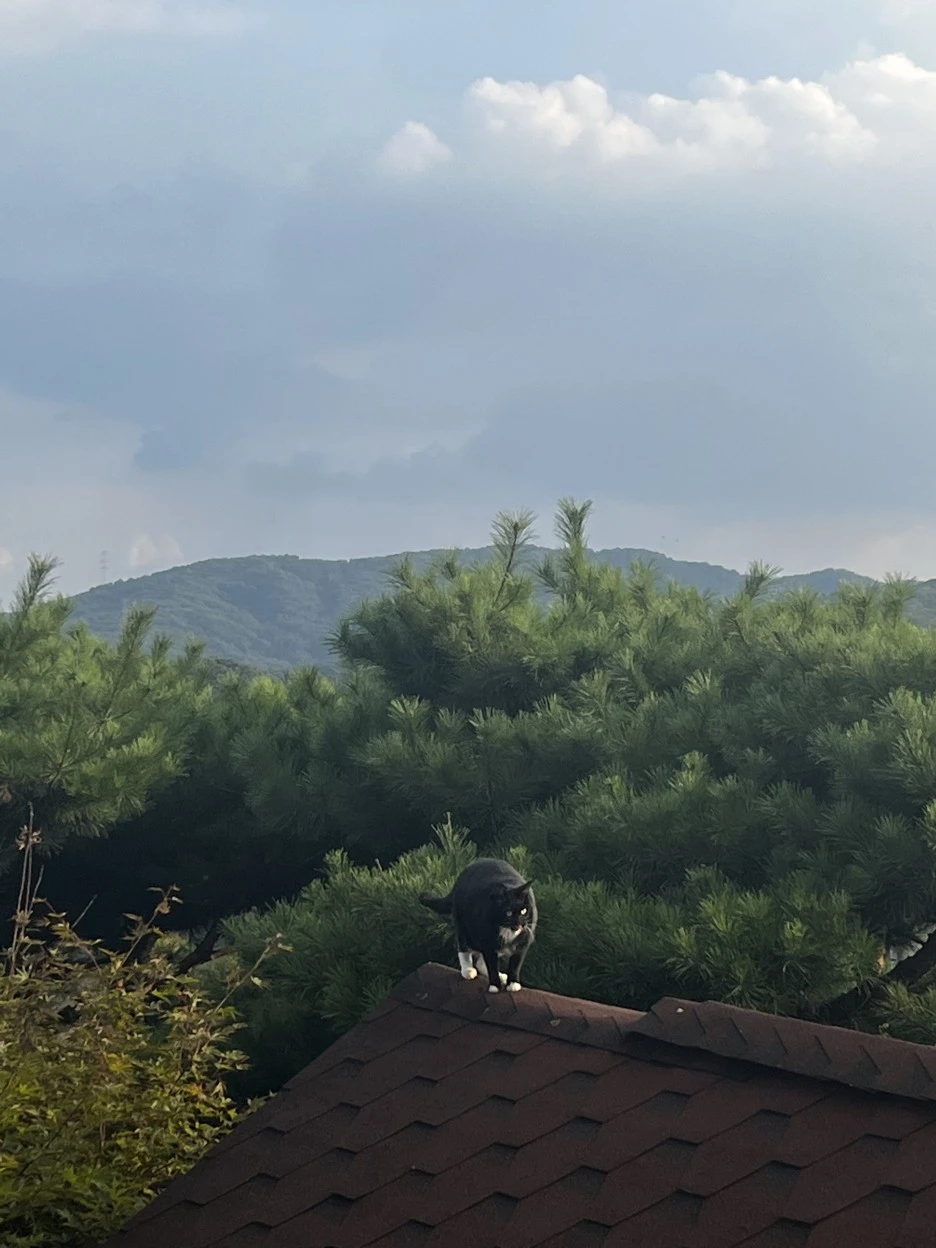 IMG_5017.jpg?type=w1