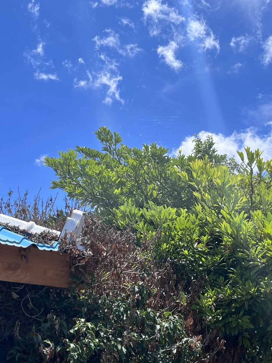 IMG_3768.jpg?type=w1