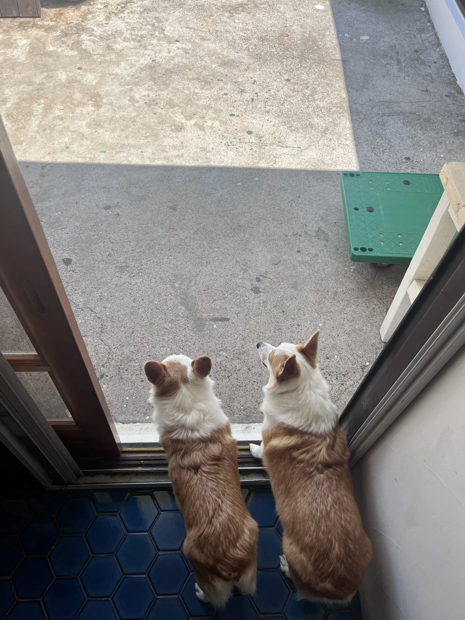 IMG_3773.jpg?type=w1