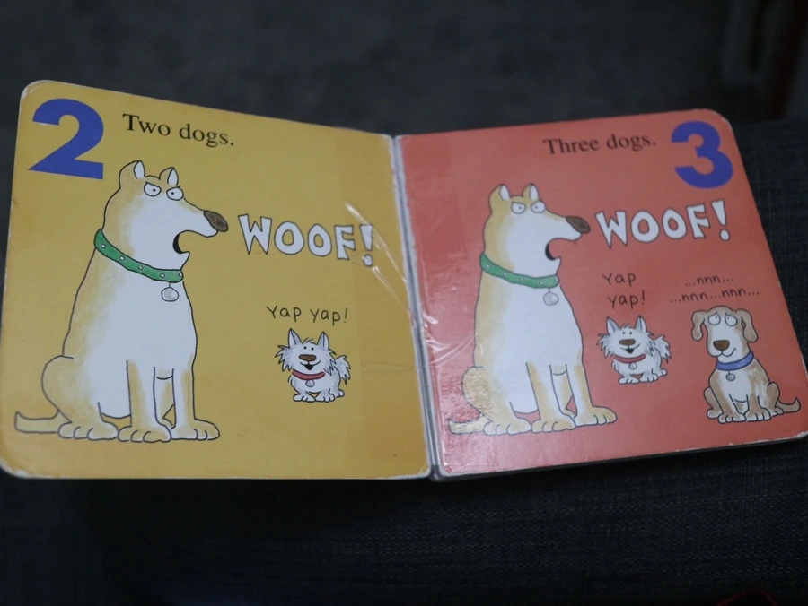 IMG%EF%BC%BF4364.JPG?type=w966