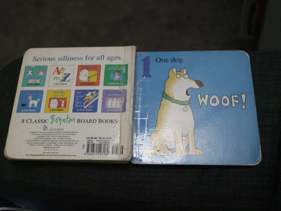 IMG%EF%BC%BF4363.JPG?type=w966