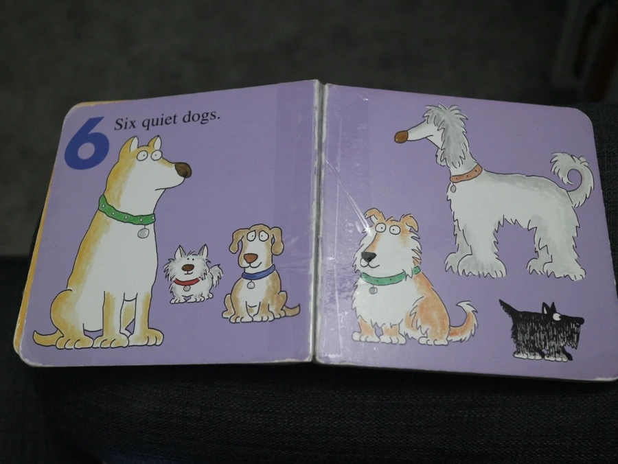 IMG%EF%BC%BF4365.JPG?type=w966