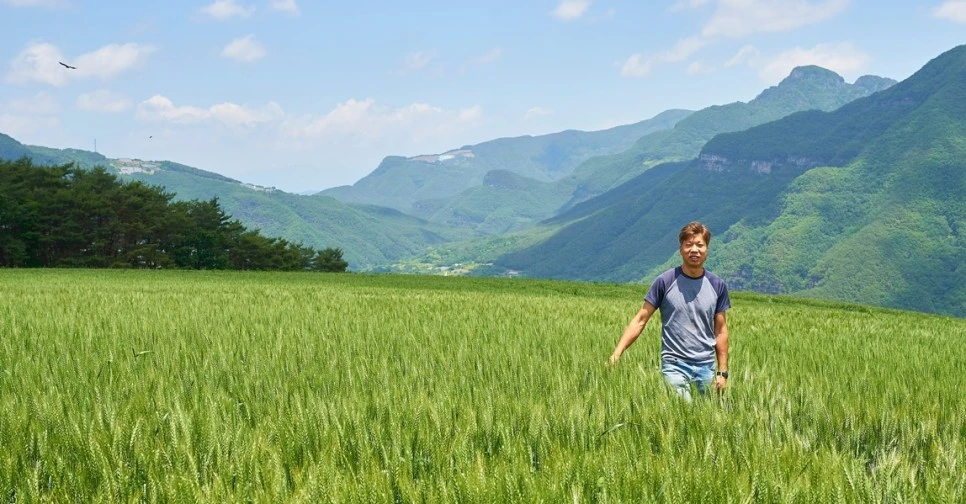 SE-71d100f3-e1af-48ce-9fa7-153c0c5af217.jpg?type=w966