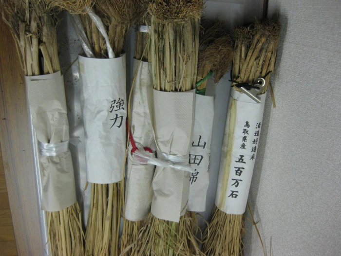 양조장 견학 1일 (97).JPG