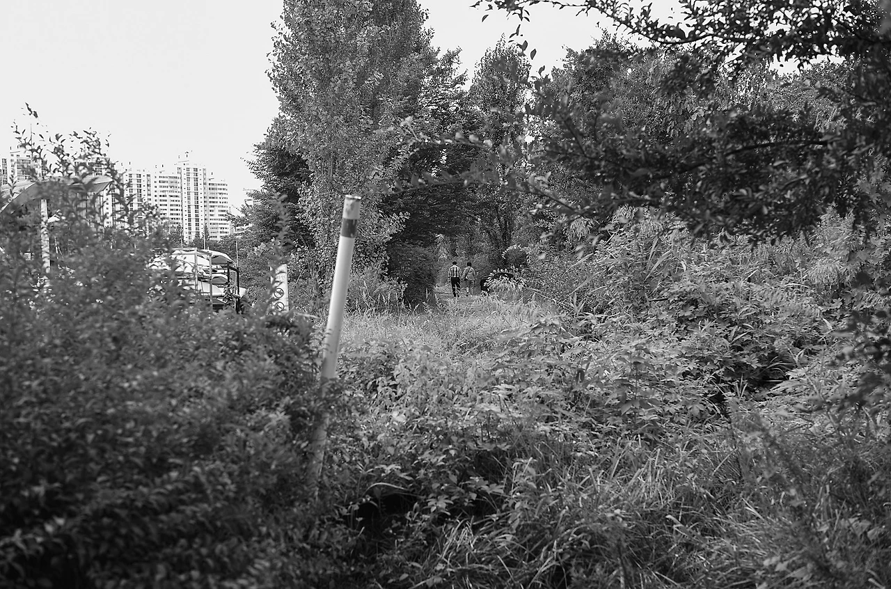 L1000051.jpg?type=w1600