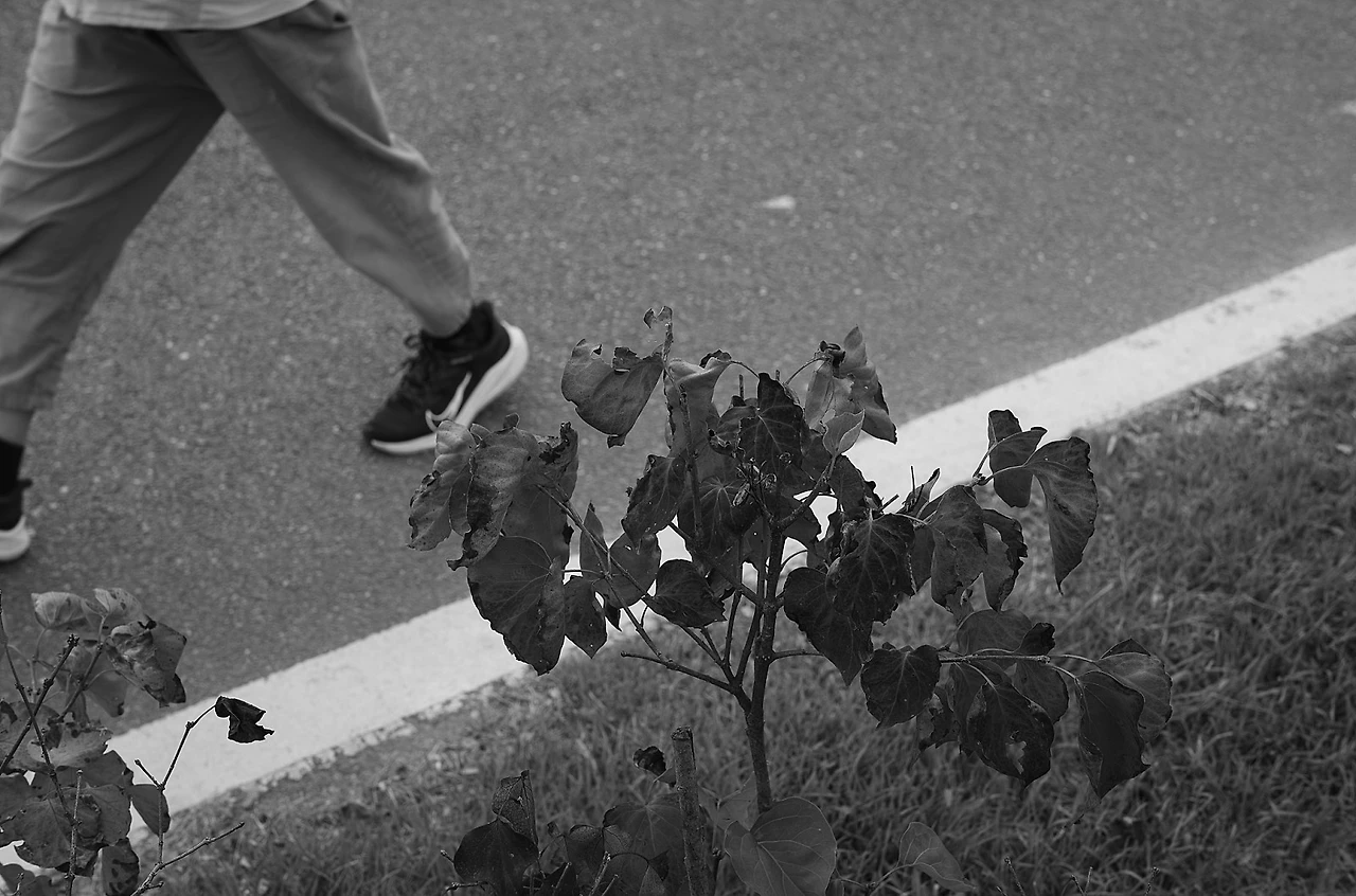 L1000043.jpg?type=w1600