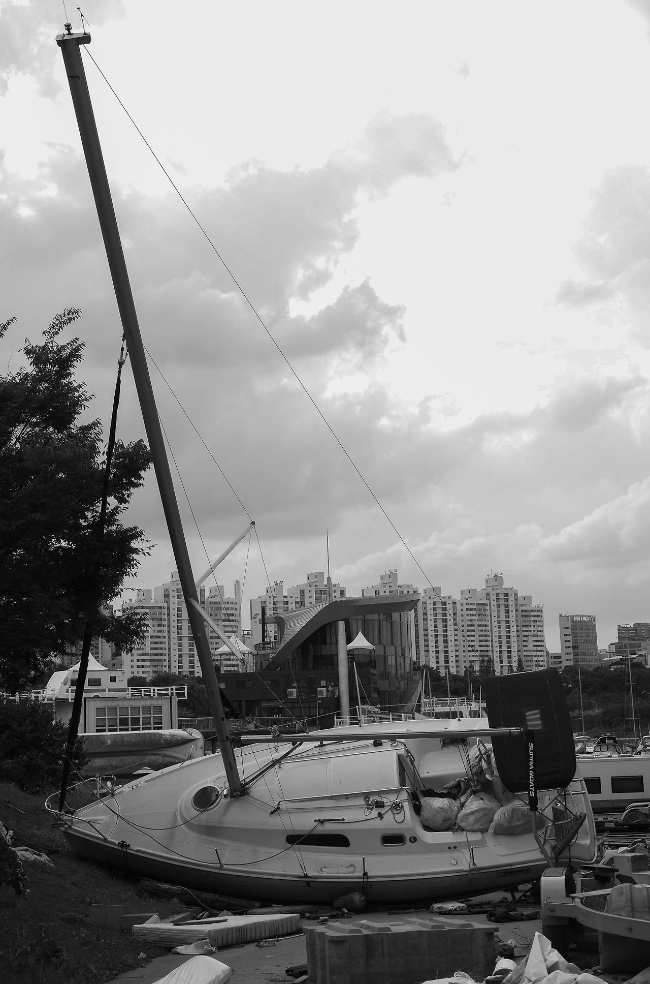 L1000056.jpg?type=w1600