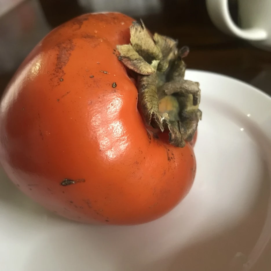 IMG_1915.jpg?type=w1