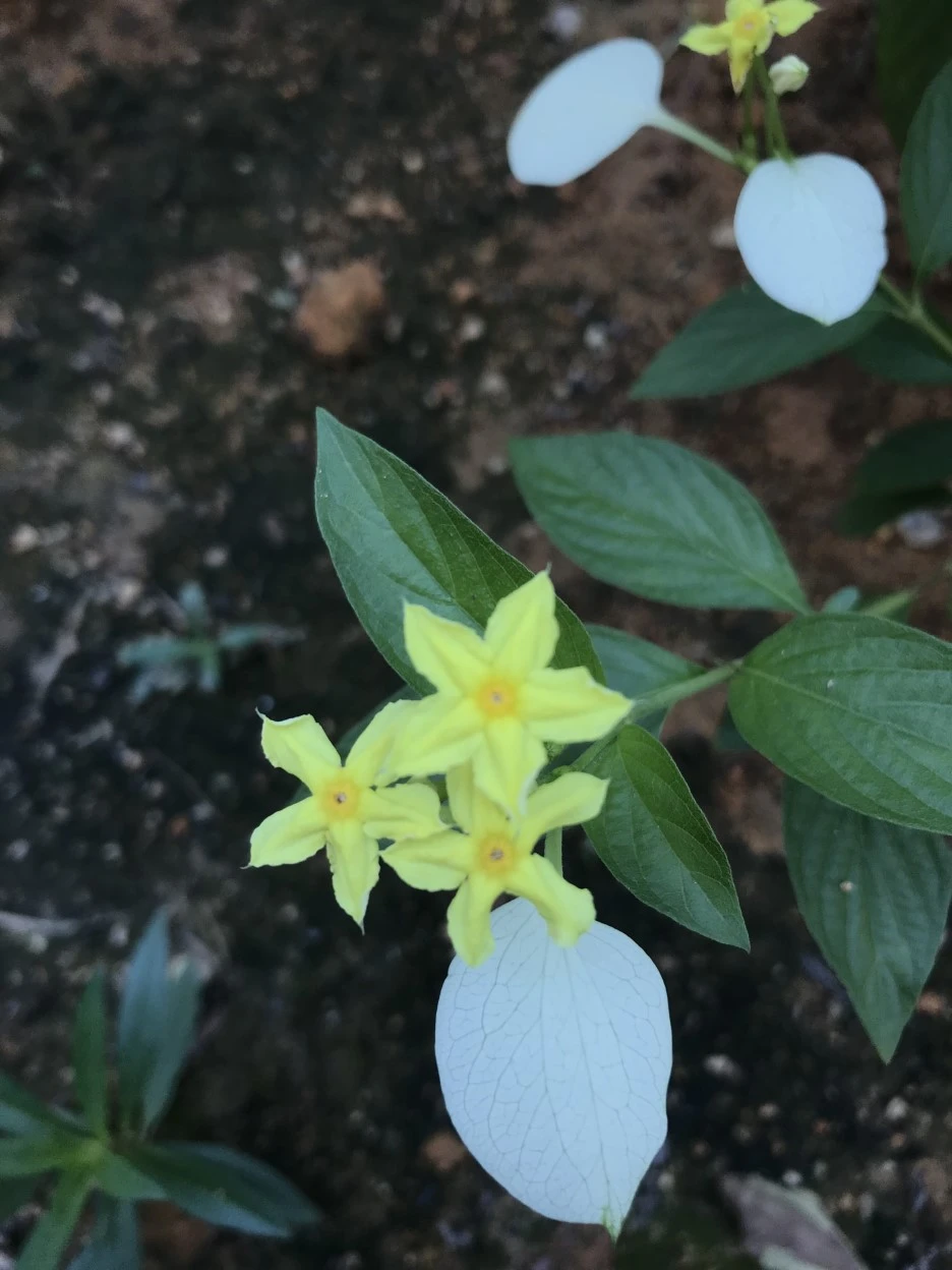 IMG_0708.jpg?type=w1