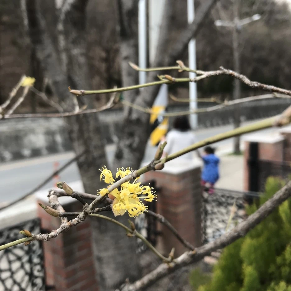 IMG_4154.jpg?type=w1